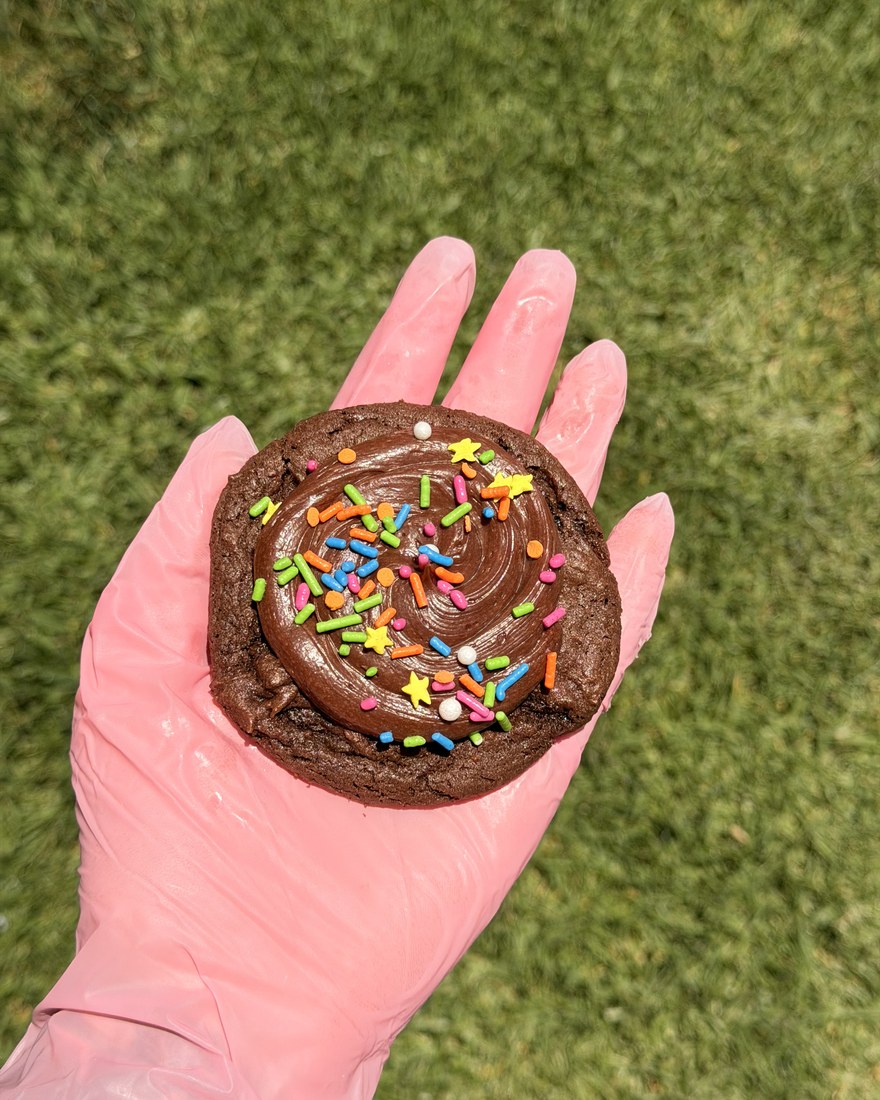 Chocolate fudge cookie with rainbow sprinkles